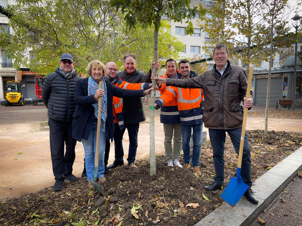 1000e arbre