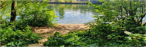 4 plage berges (1).jpg