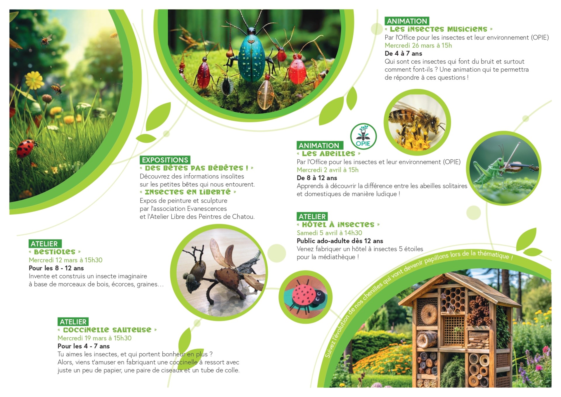 Programme des bêtes pas bébêtes