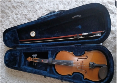 Violon à vendre